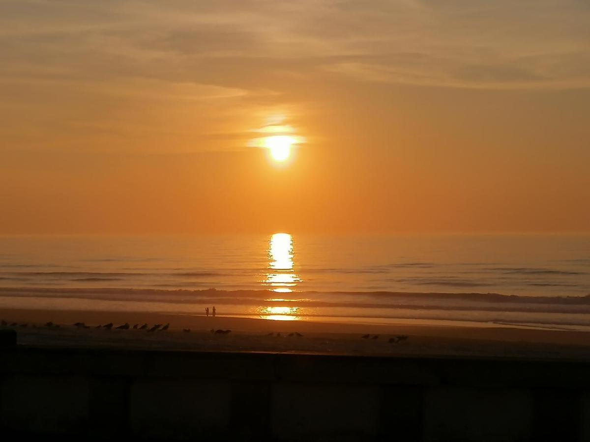 Barrinha_Village Praia de Mira Zewnętrze zdjęcie