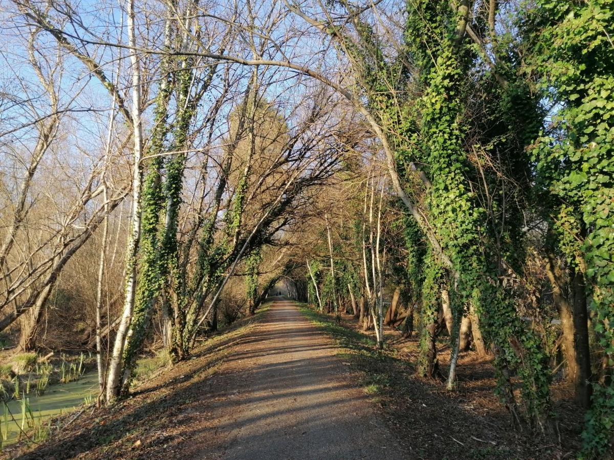 Barrinha_Village Praia de Mira Zewnętrze zdjęcie