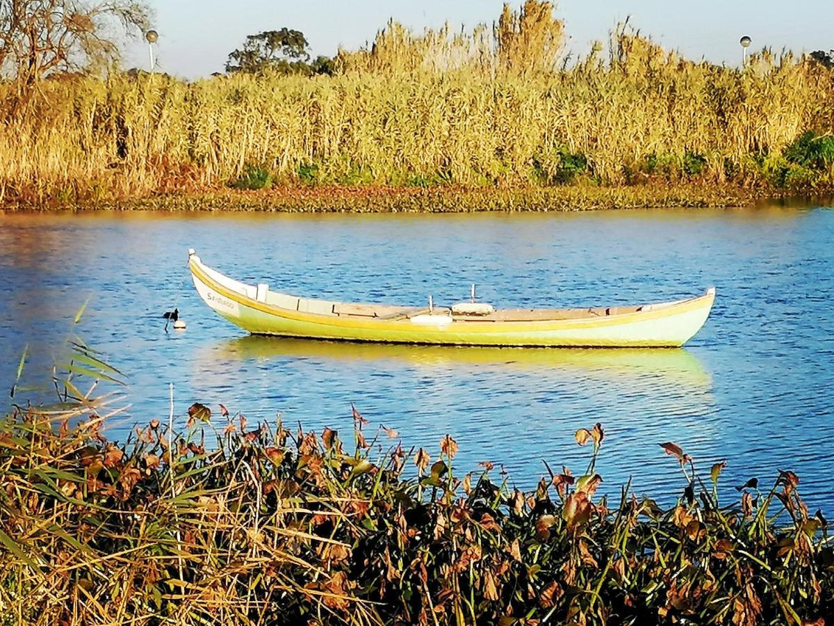 Barrinha_Village Praia de Mira Zewnętrze zdjęcie
